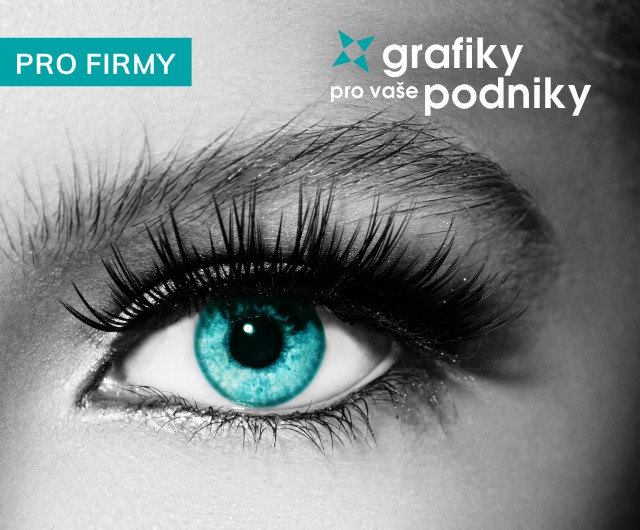 grafiky pro vaše podniky